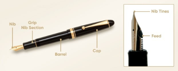 Annotated diagram of a fountain pen, useful for understanding the components that influence calligraphy techniques.